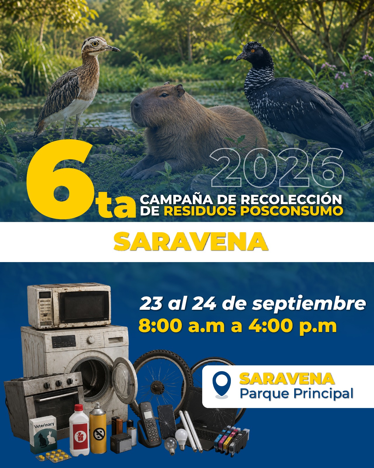 Campaña de recolección, saravena