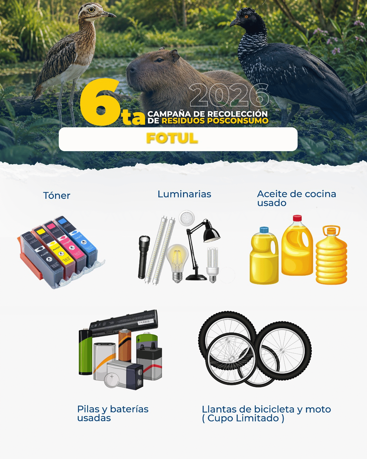 6ta Campaña de Recolección Posconsumo Fotul