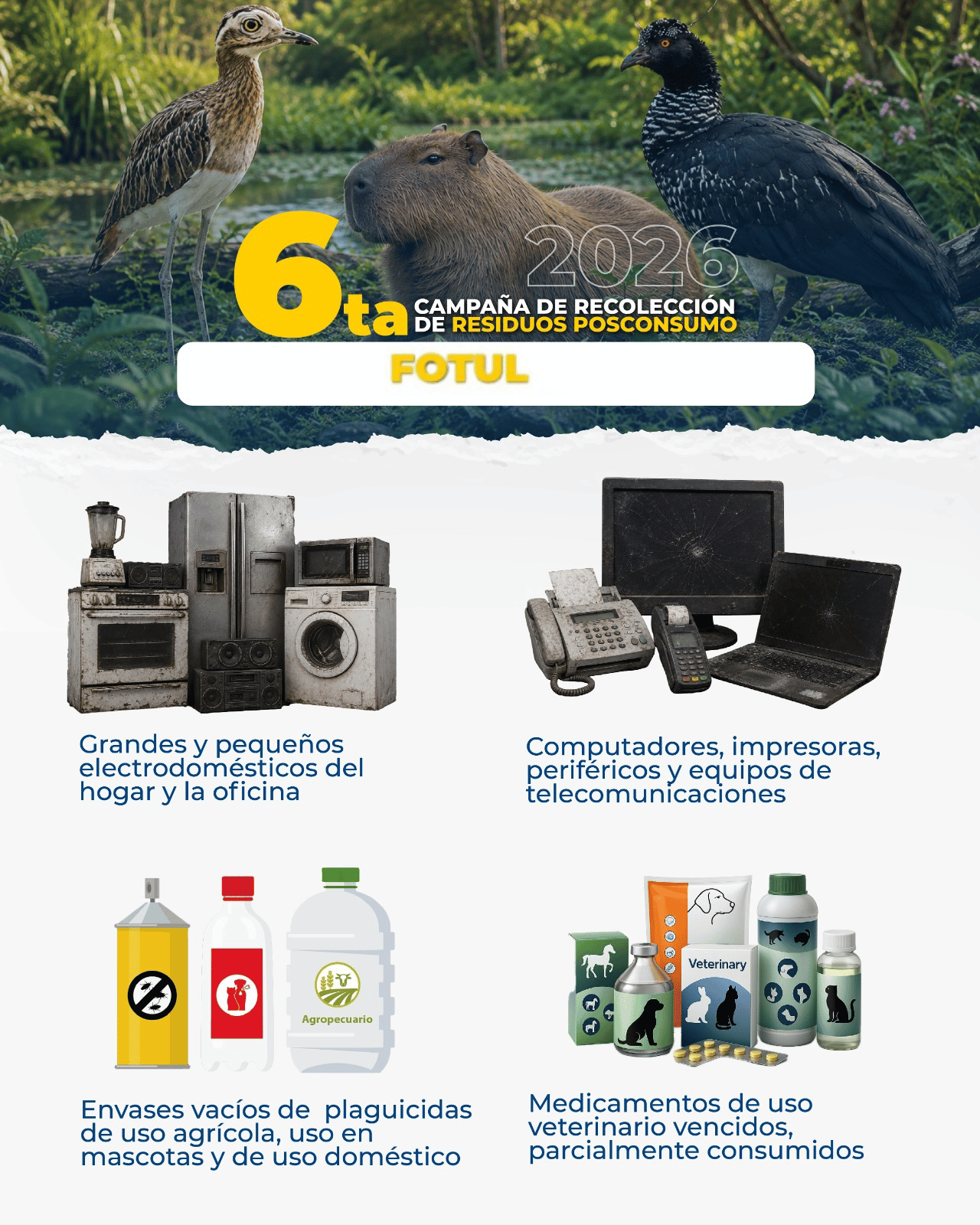 6ta Campaña de Recolección Posconsumo Fotul